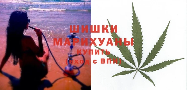 ПСИЛОЦИБИНОВЫЕ ГРИБЫ Киренск