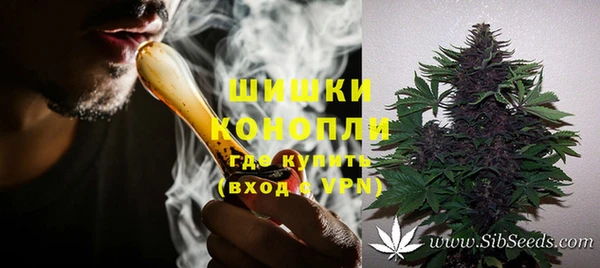 PSILOCYBIN Киреевск