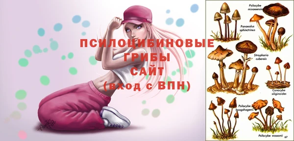 ПСИЛОЦИБИНОВЫЕ ГРИБЫ Киренск