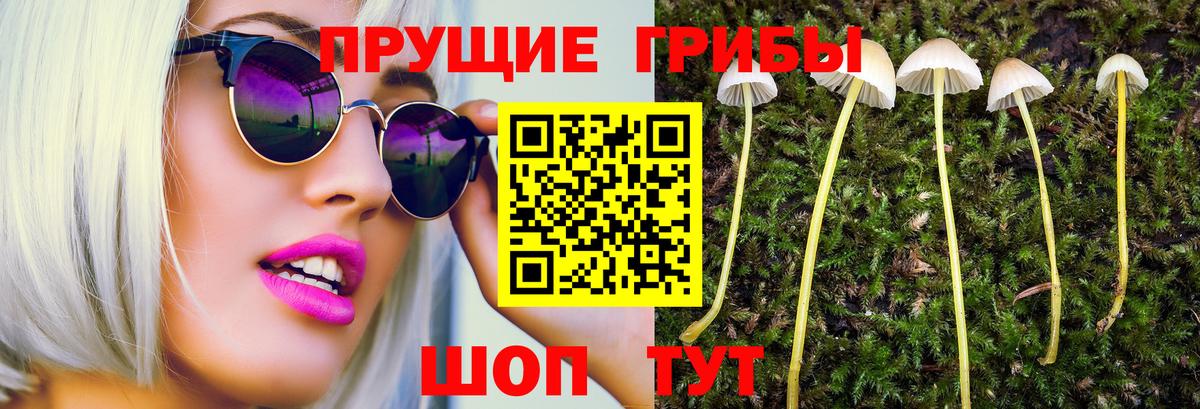 Галлюциногенные грибы Cubensis  Псилоцибиновые грибы Psilocybe  Вход с VPN  Урай 